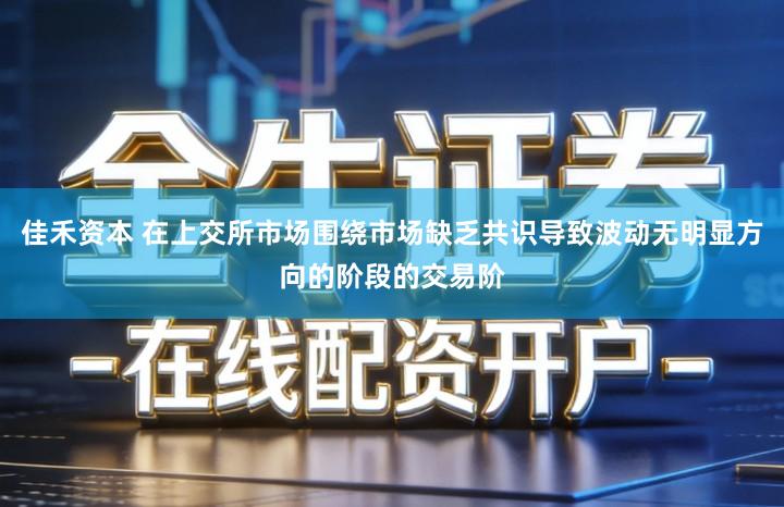 佳禾资本 在上交所市场围绕市场缺乏共识导致波动无明显方向的阶段的交易阶